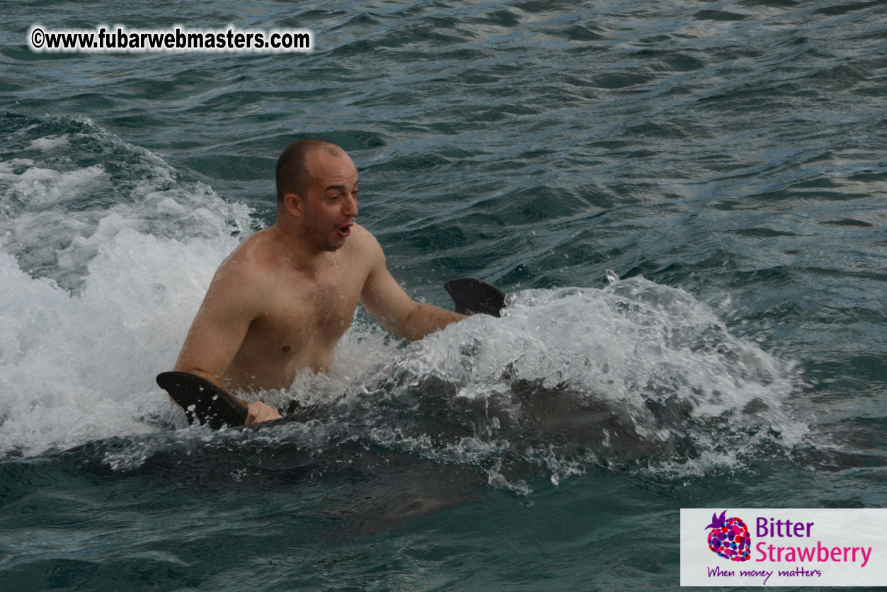 WireCard Dolphin Swim