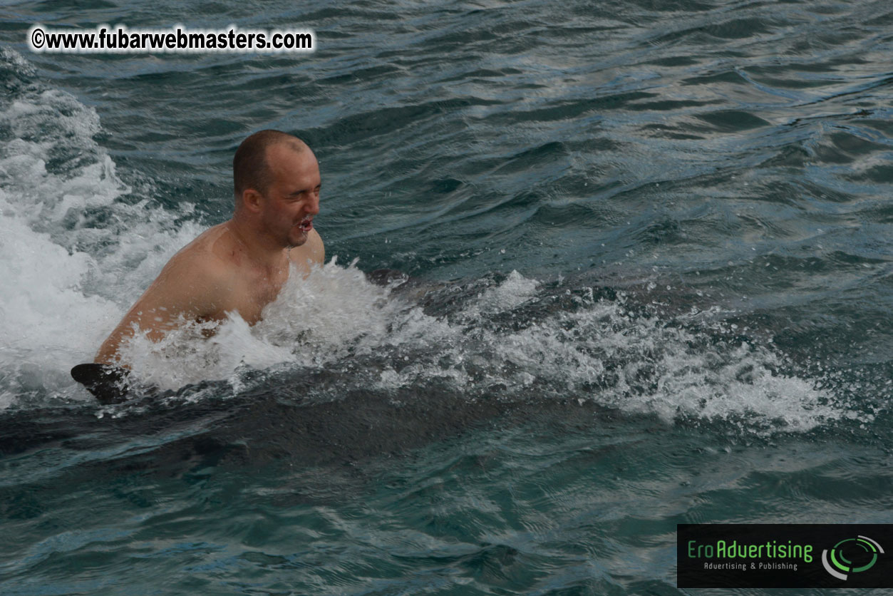 WireCard Dolphin Swim