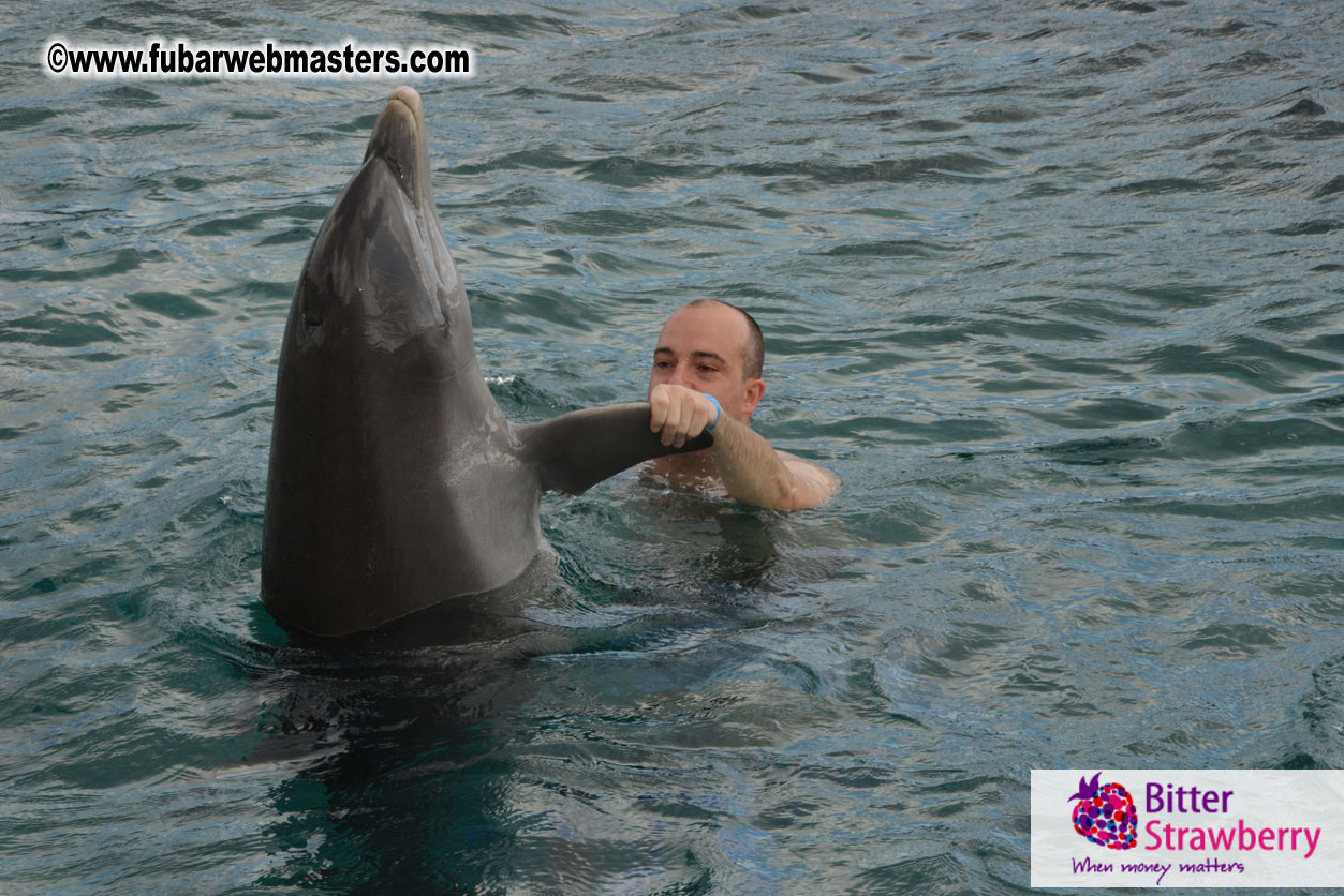 WireCard Dolphin Swim