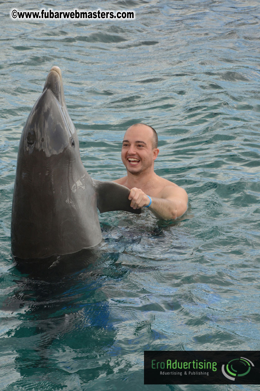 WireCard Dolphin Swim