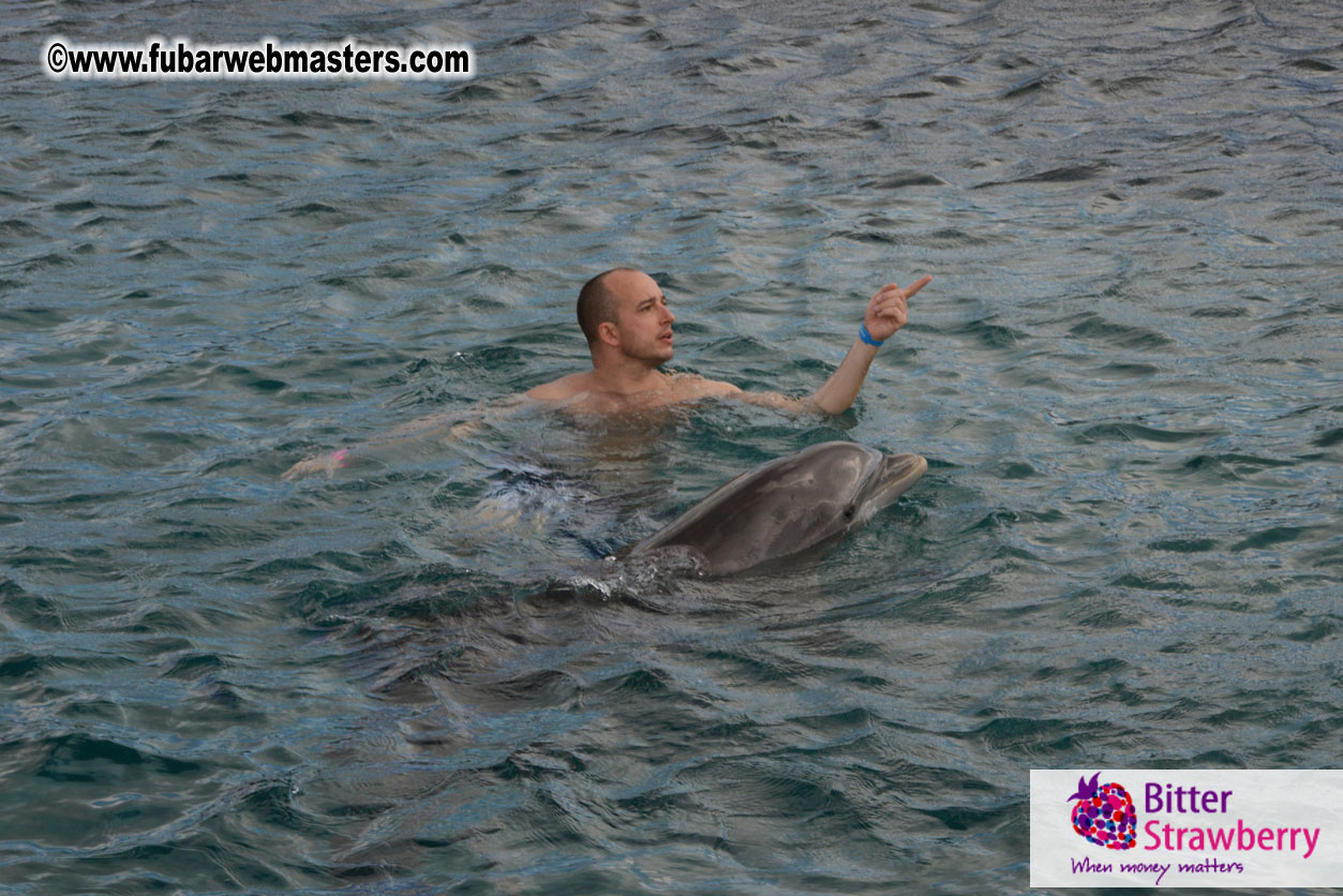 WireCard Dolphin Swim