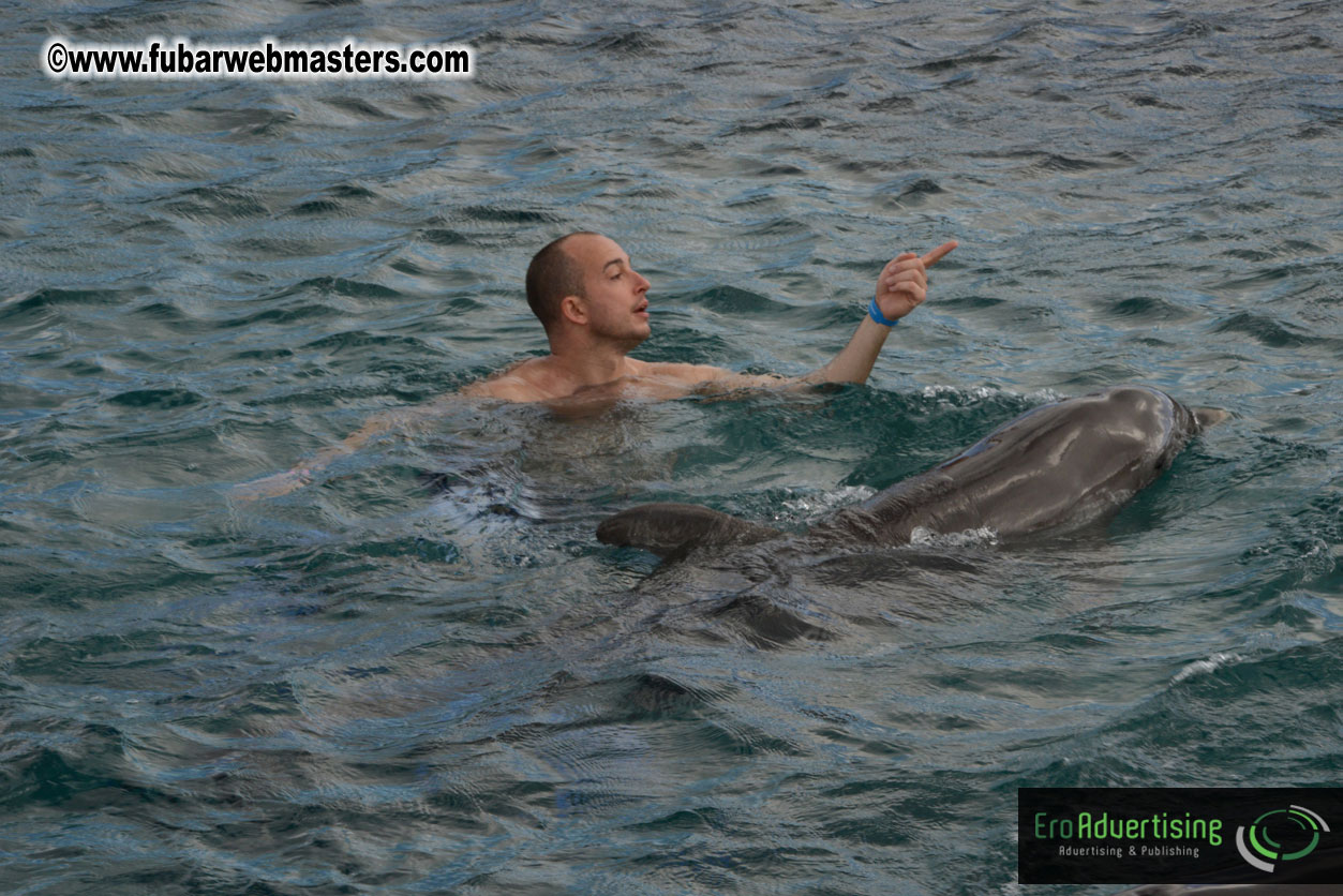 WireCard Dolphin Swim