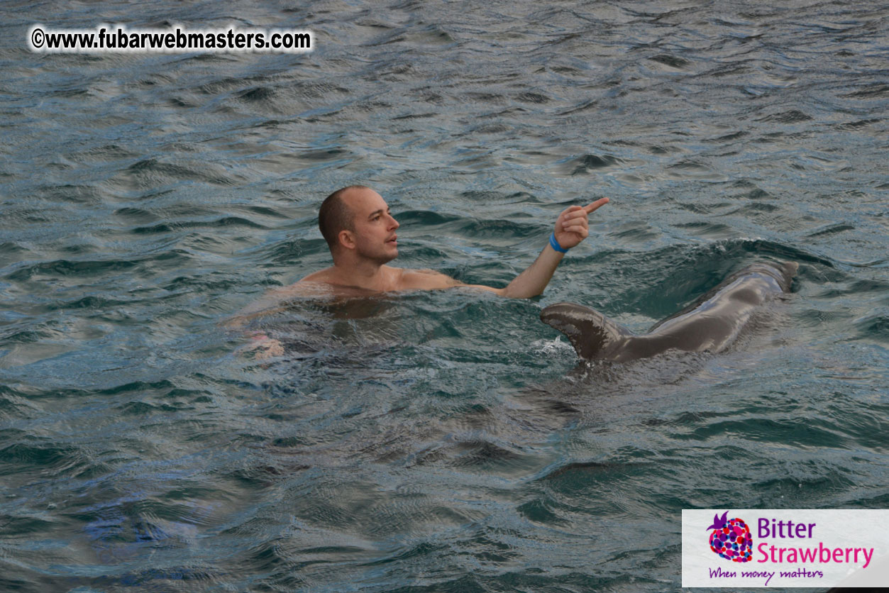 WireCard Dolphin Swim