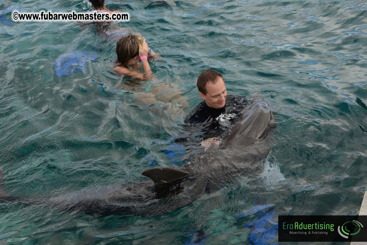 WireCard Dolphin Swim