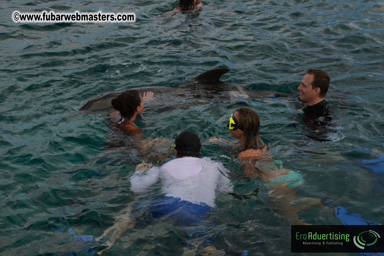 WireCard Dolphin Swim