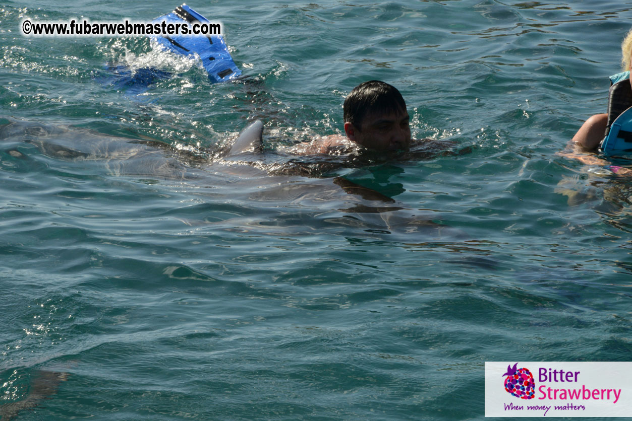 PussyCash Dolphin Swim 