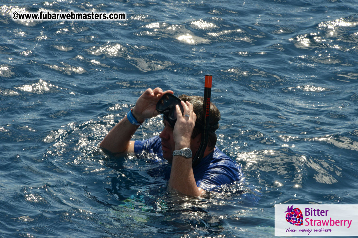 Sailing and Snorkeling Adventure