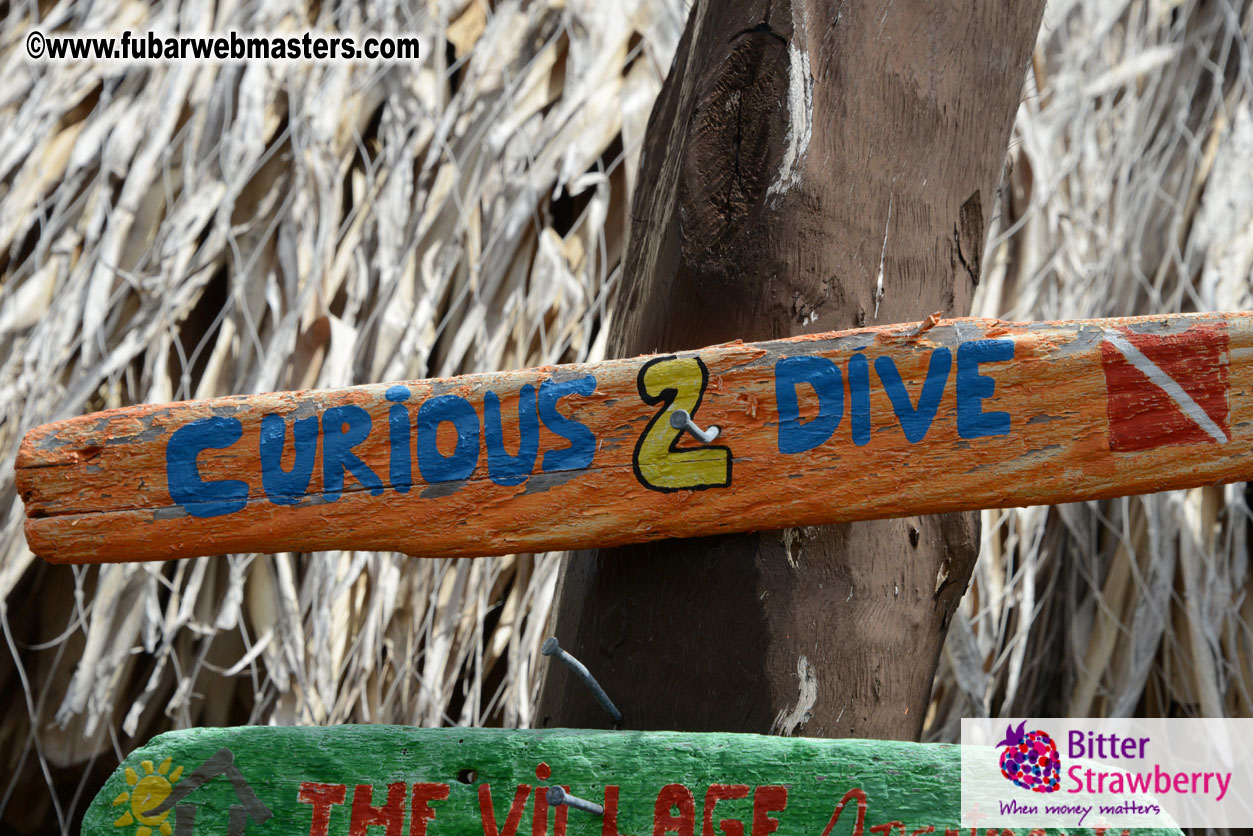 Sailing and Snorkeling Adventure