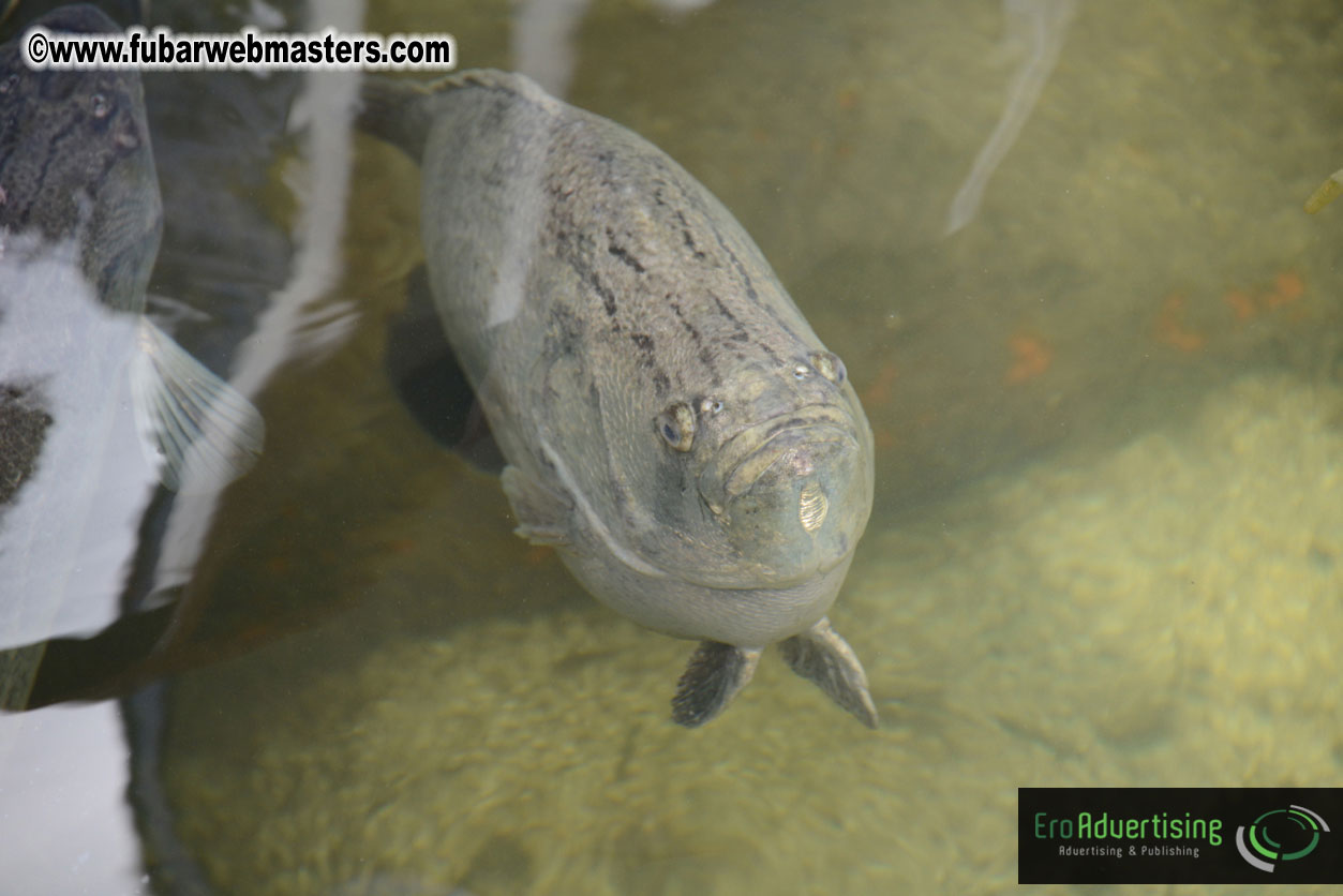 Sailing and Snorkeling Adventure