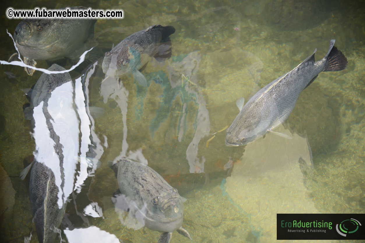 Sailing and Snorkeling Adventure