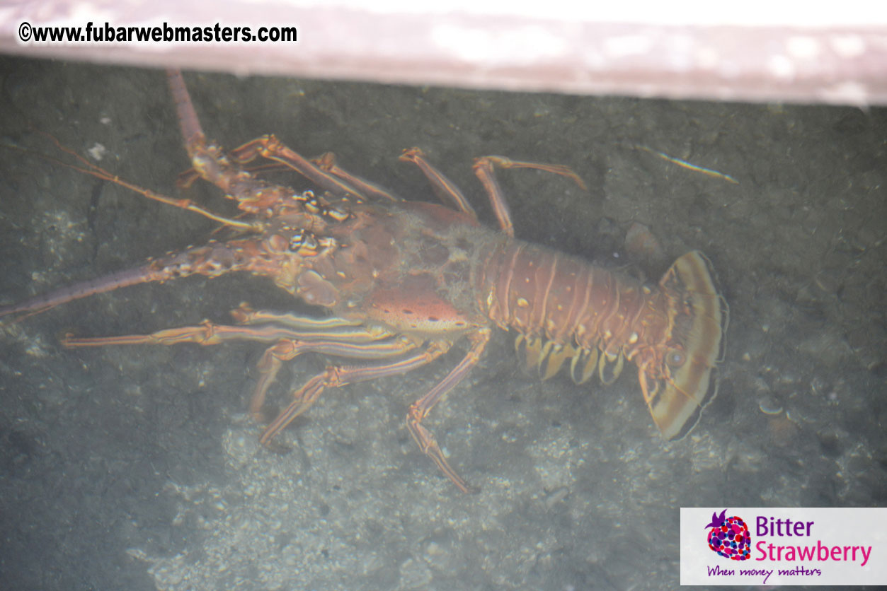 Sailing and Snorkeling Adventure