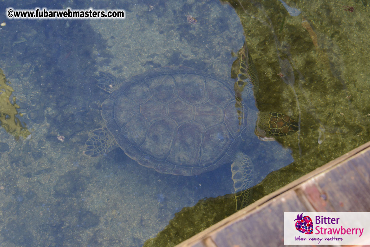 Sailing and Snorkeling Adventure