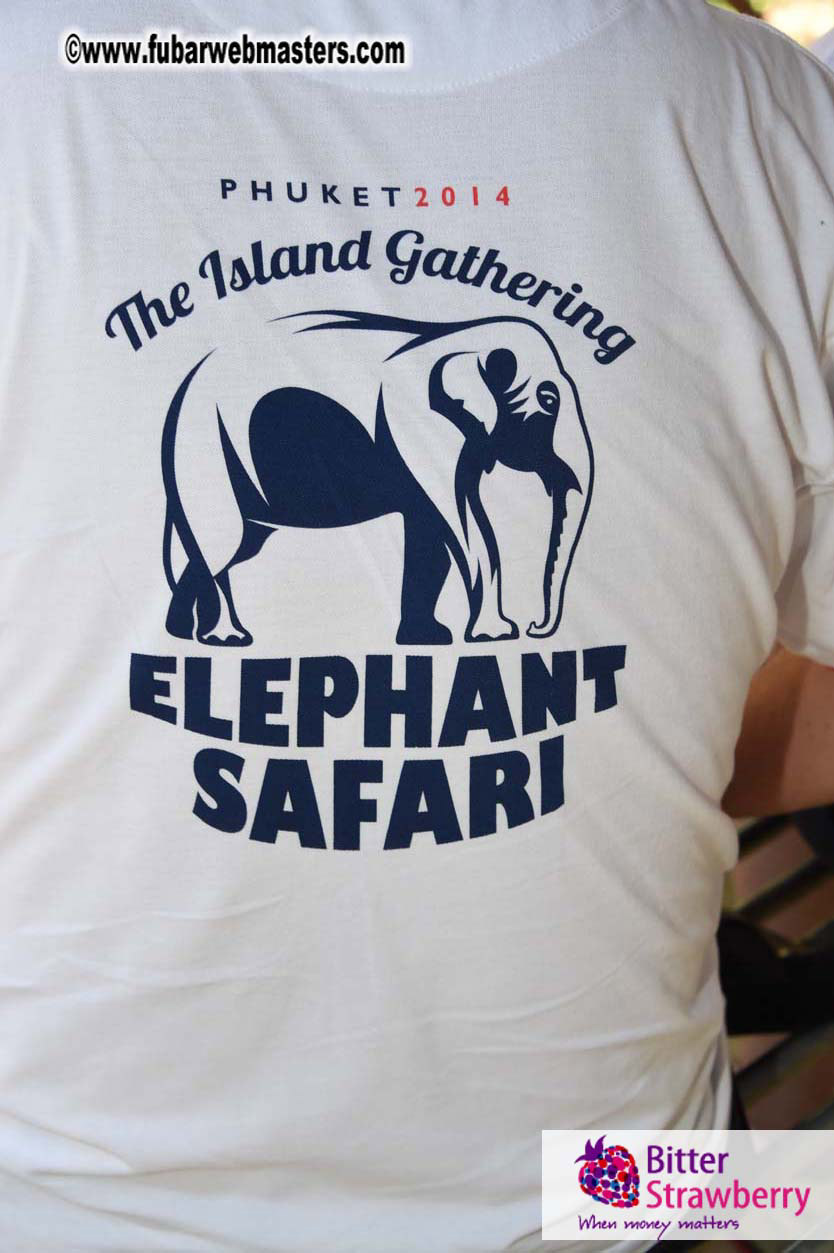 Elephant Safari 