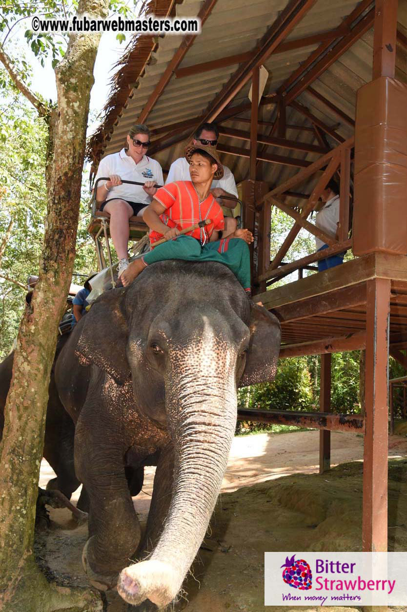 Elephant Safari 