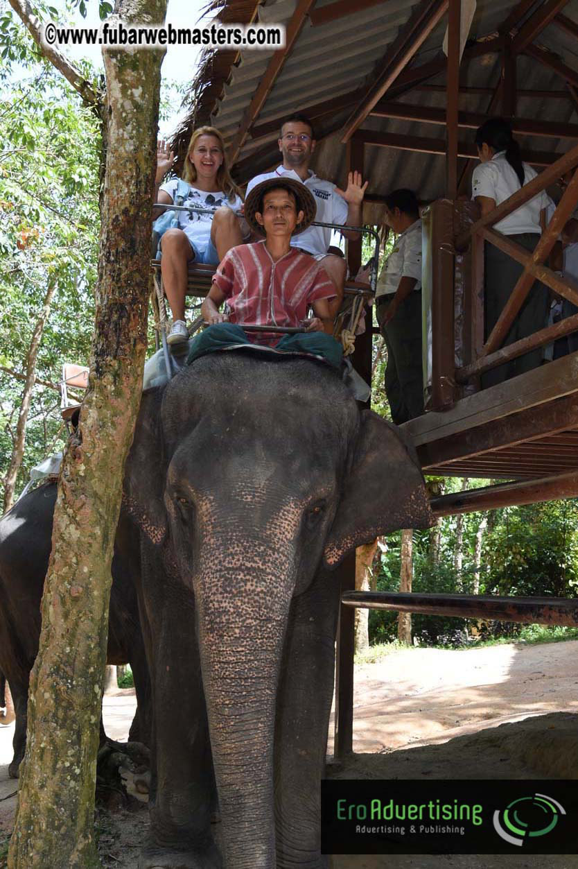 Elephant Safari 