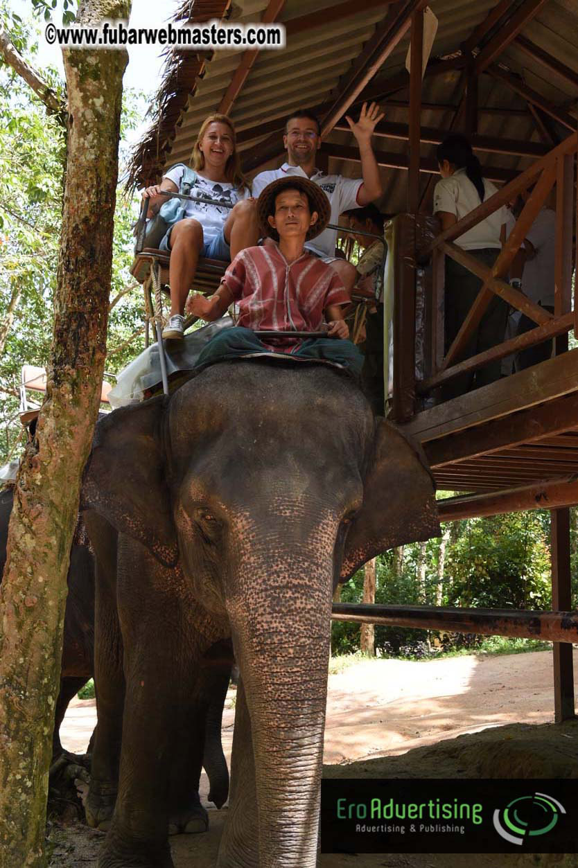 Elephant Safari 