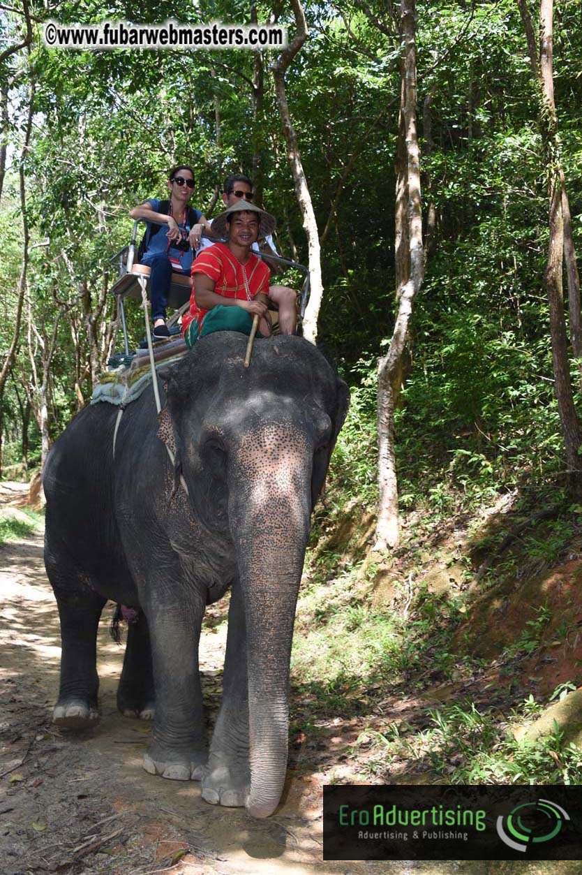 Elephant Safari 