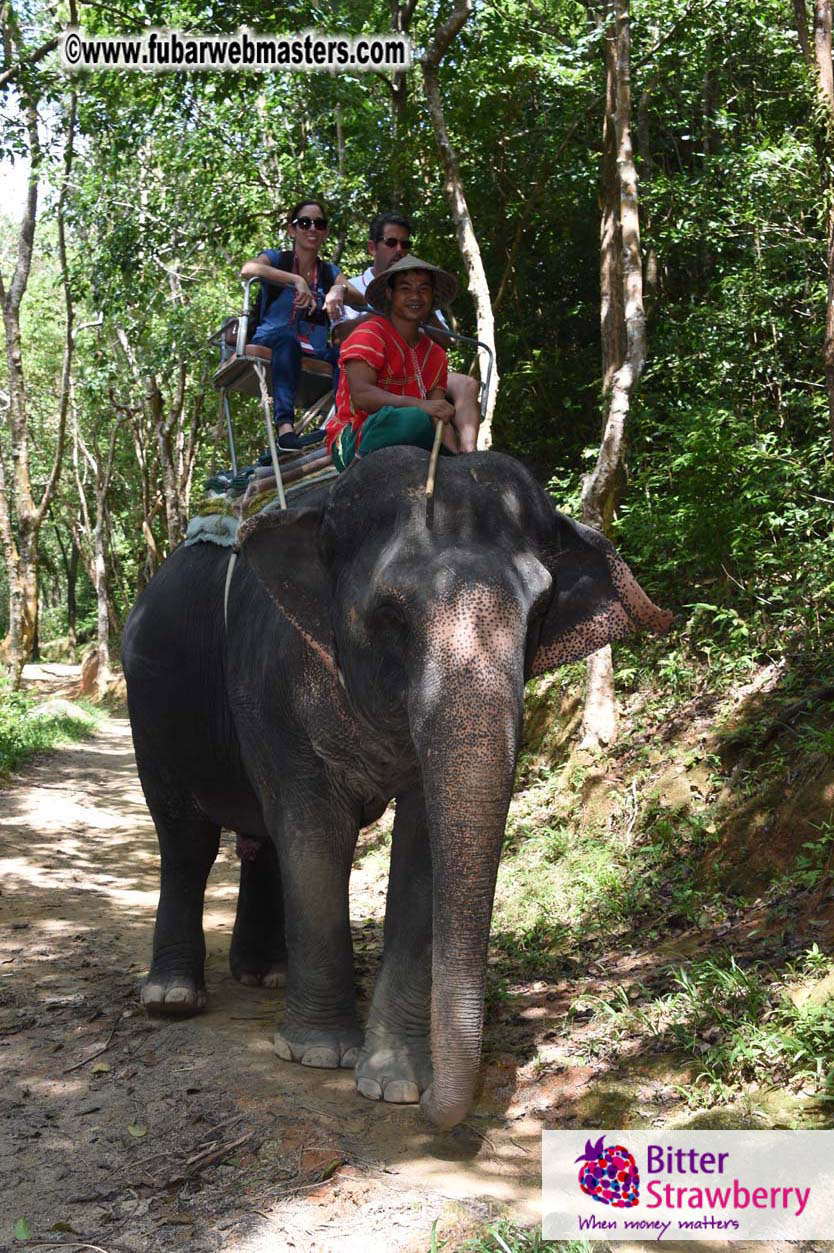 Elephant Safari 