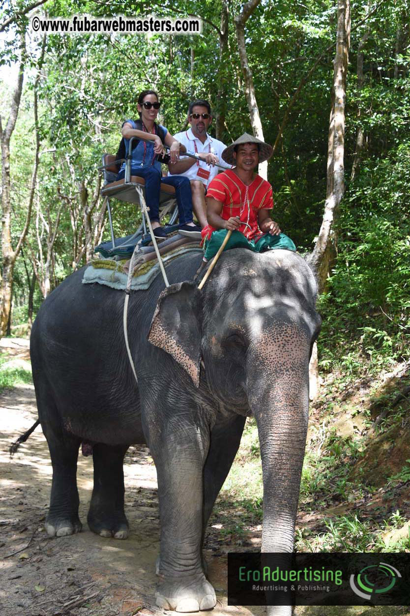 Elephant Safari 