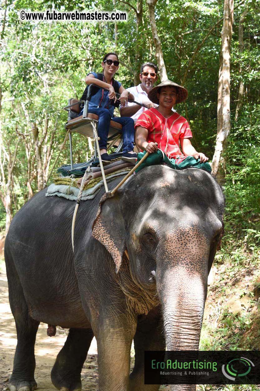 Elephant Safari 