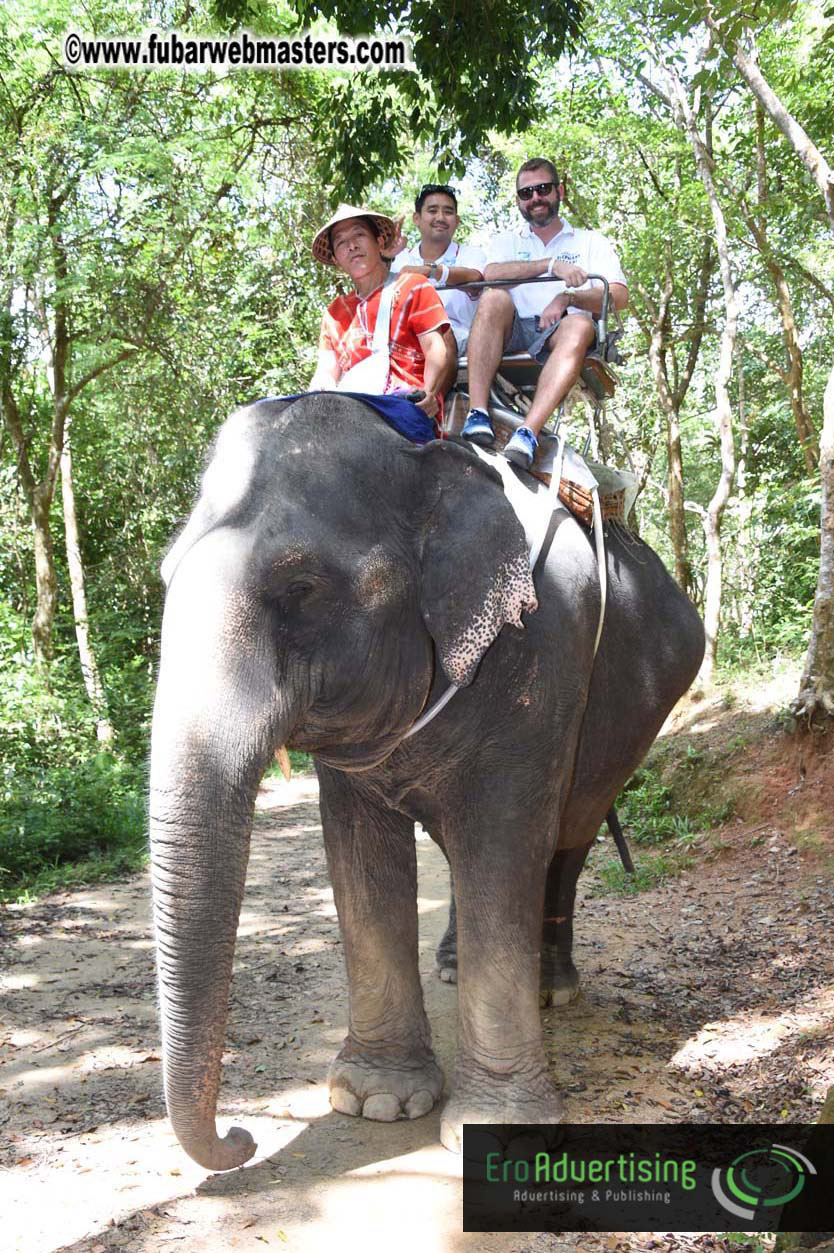 Elephant Safari 