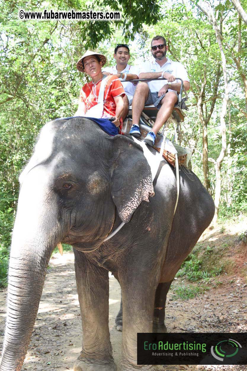 Elephant Safari 