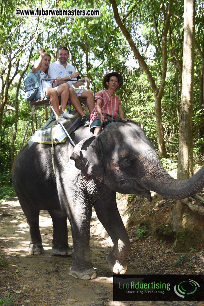 Elephant Safari 