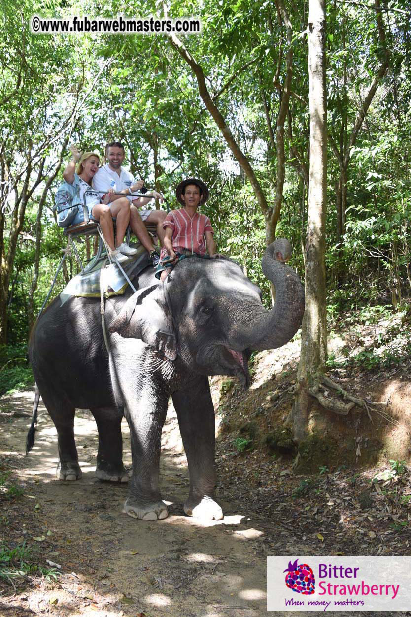 Elephant Safari 