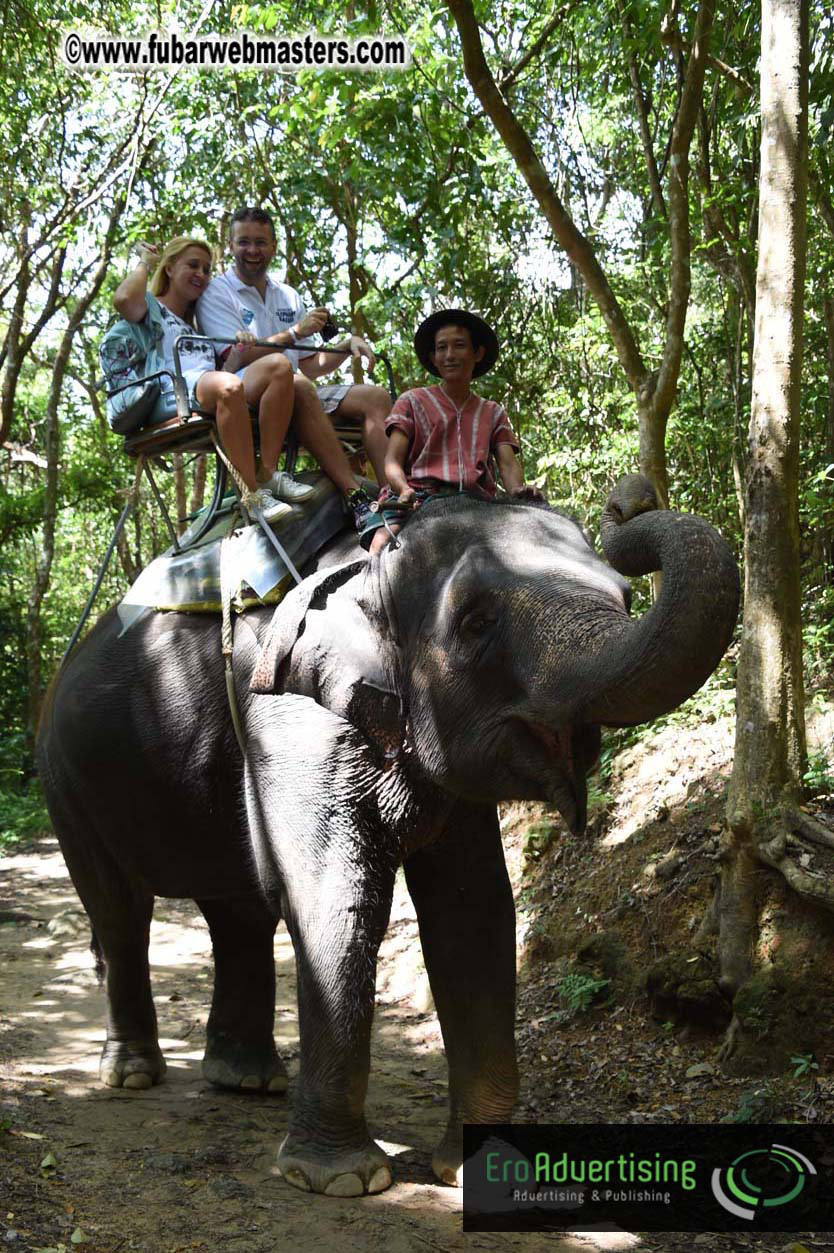 Elephant Safari 