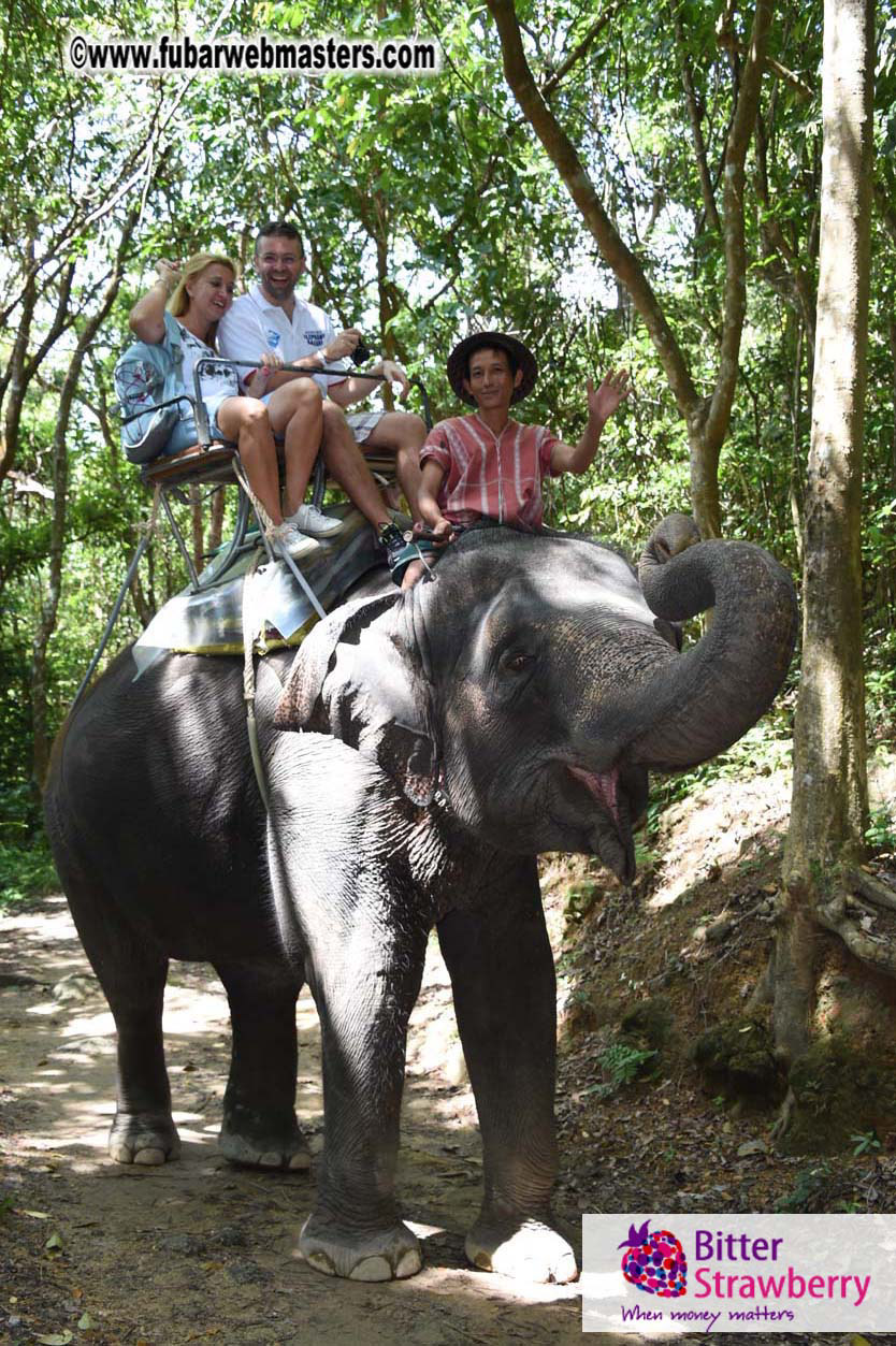 Elephant Safari 