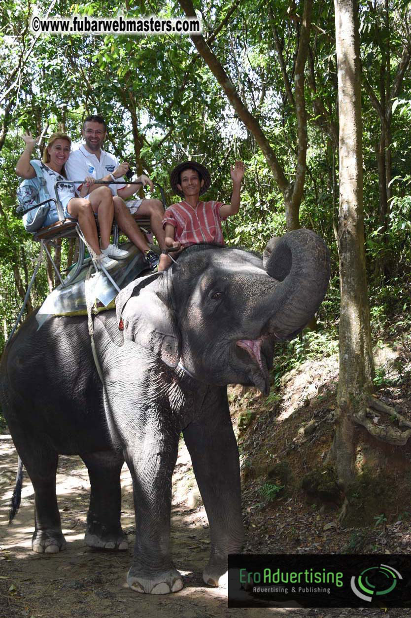 Elephant Safari 