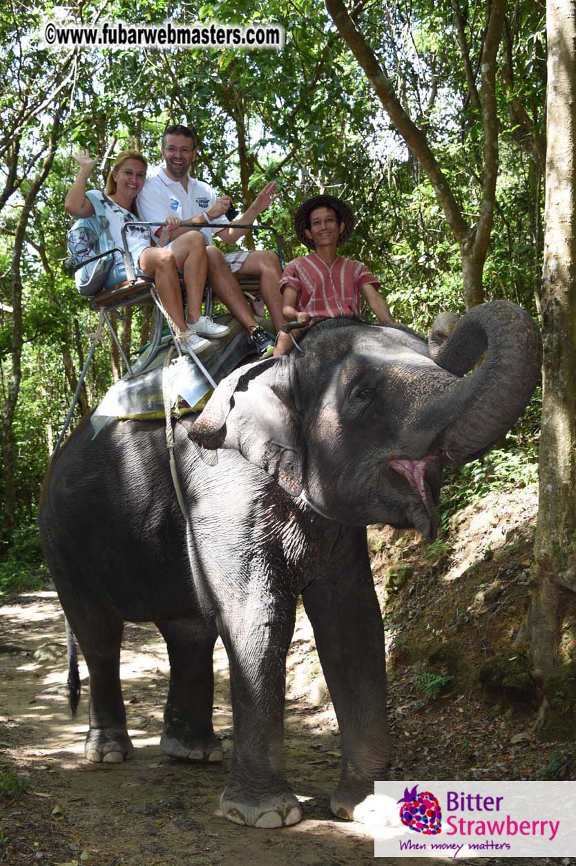 Elephant Safari 