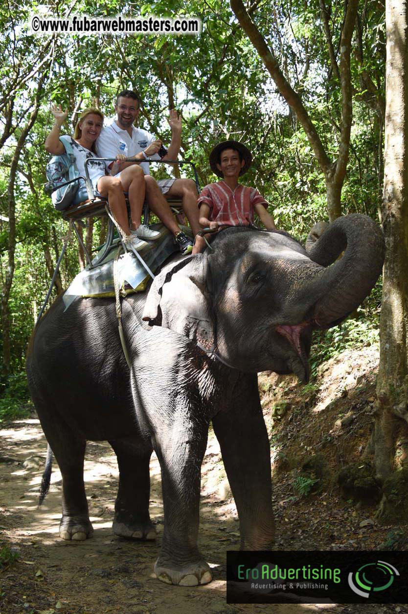 Elephant Safari 