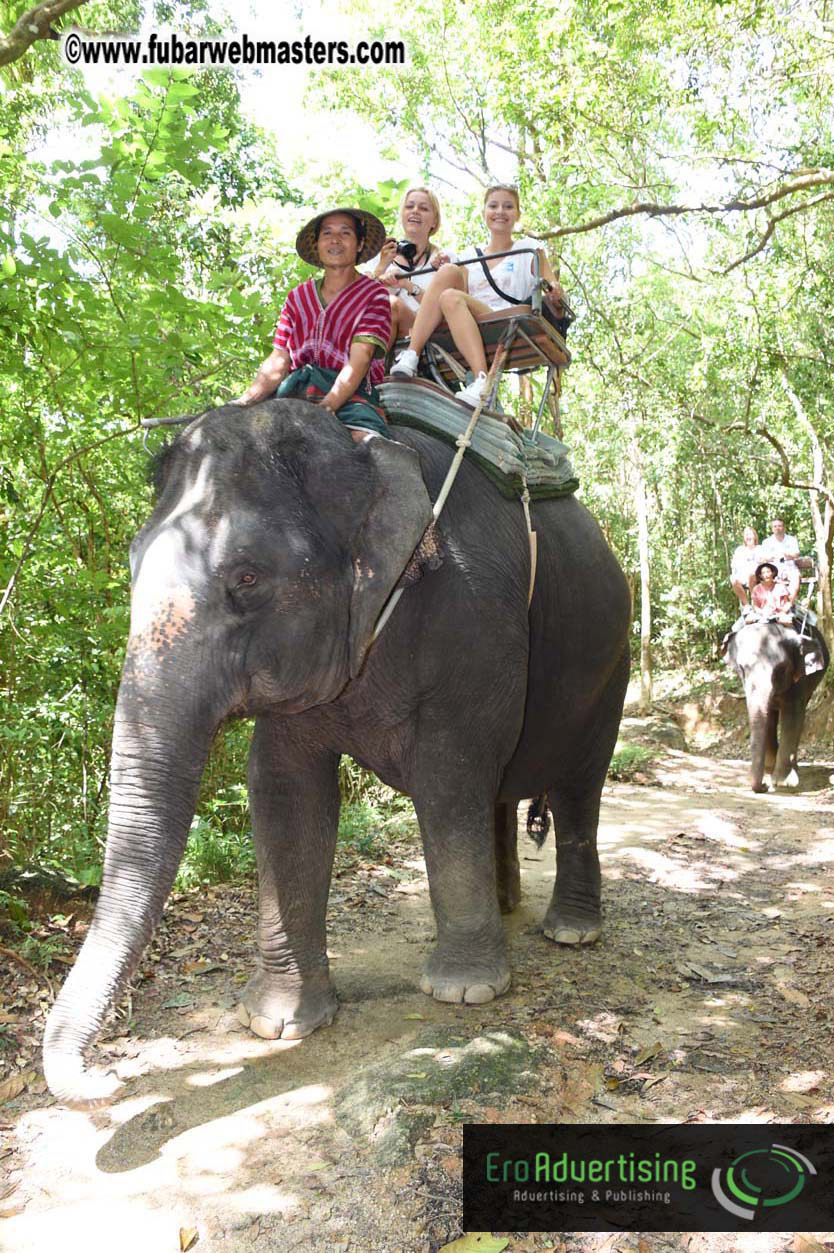 Elephant Safari 