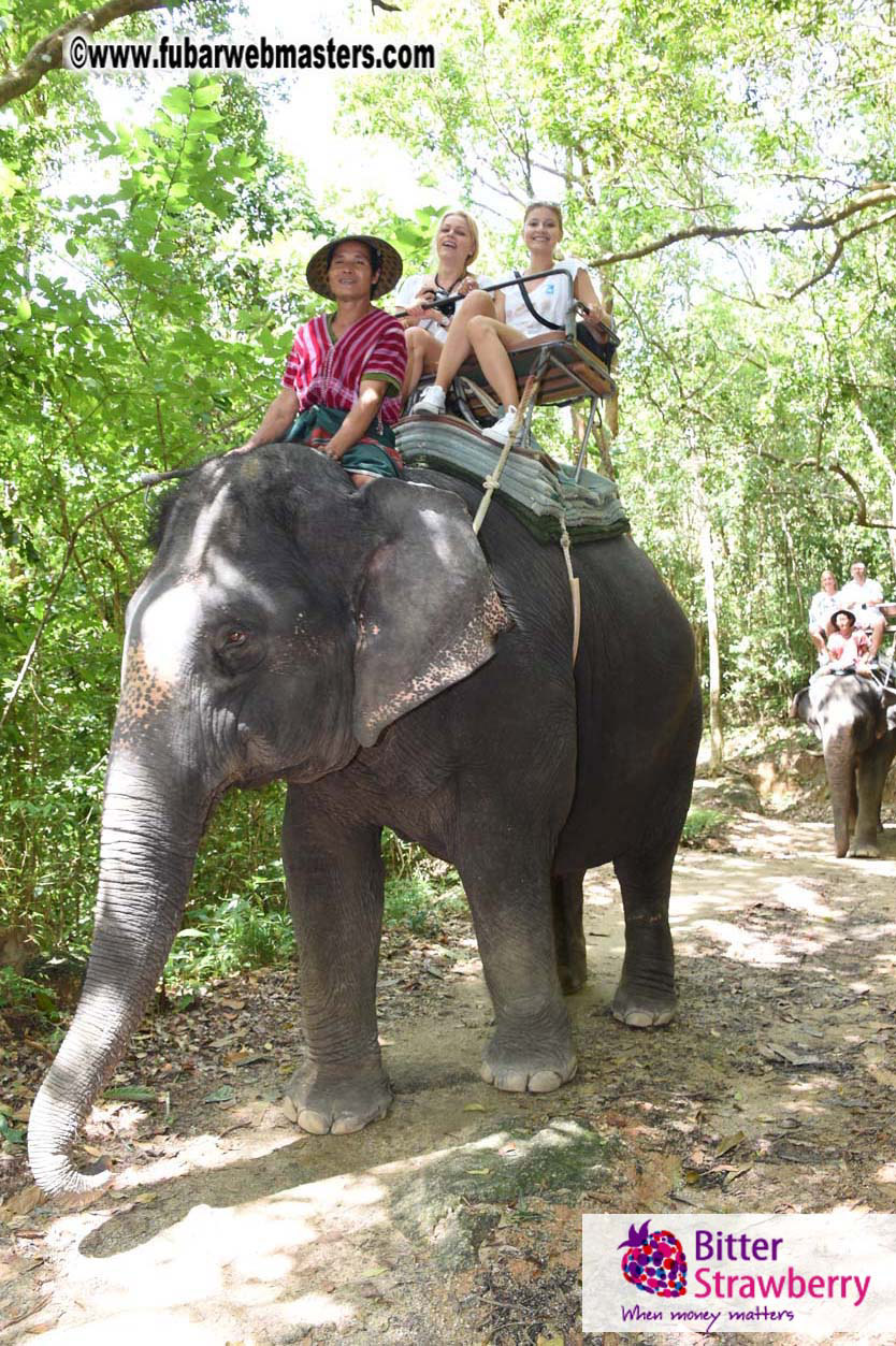 Elephant Safari 