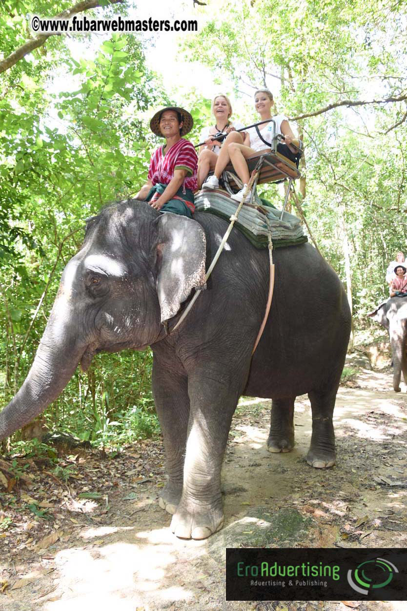 Elephant Safari 