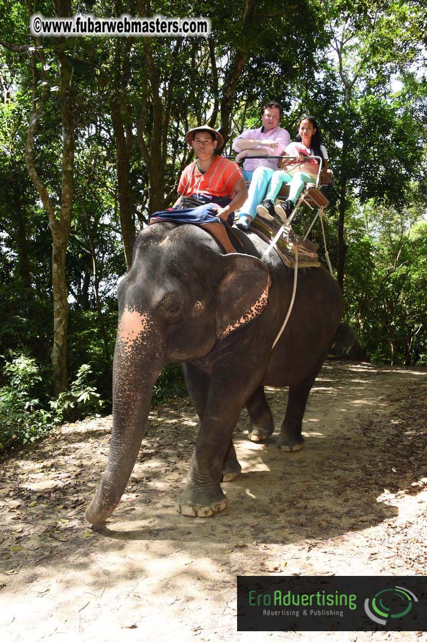 Elephant Safari 