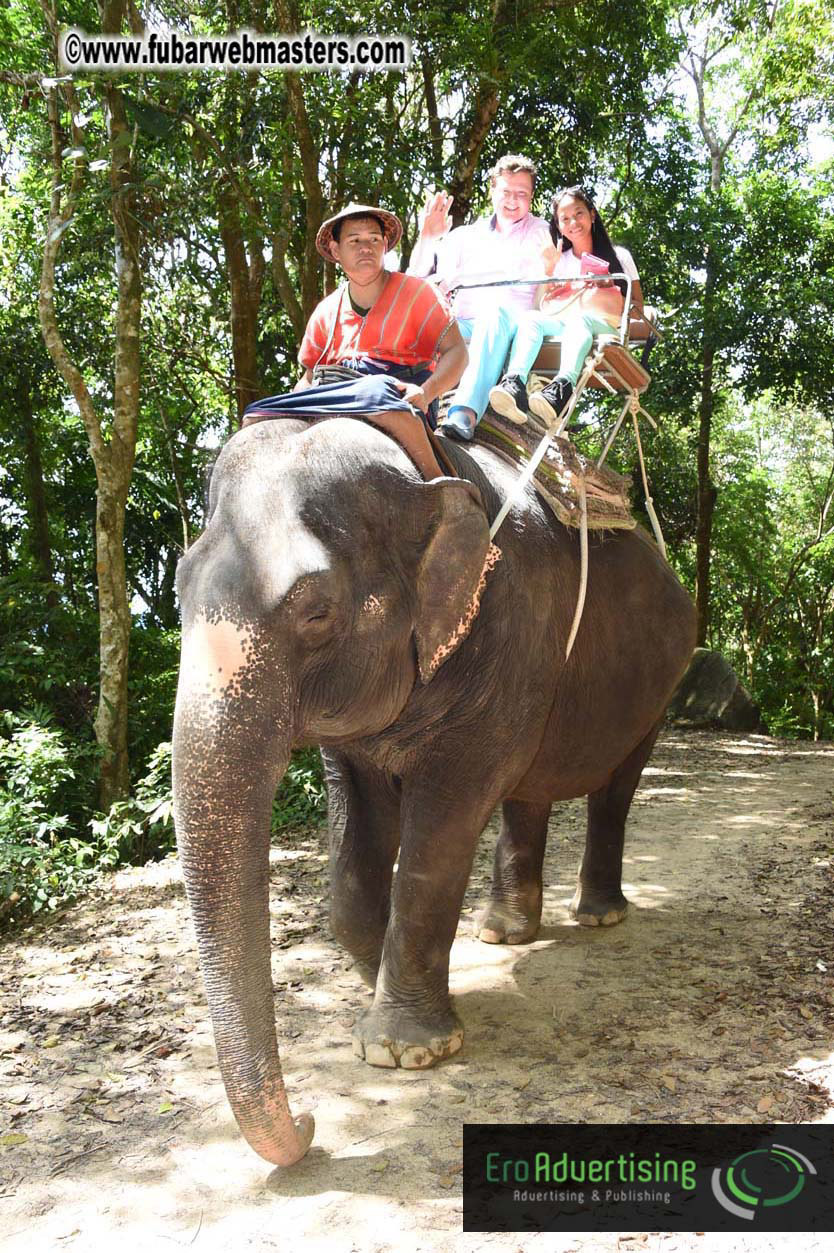 Elephant Safari 