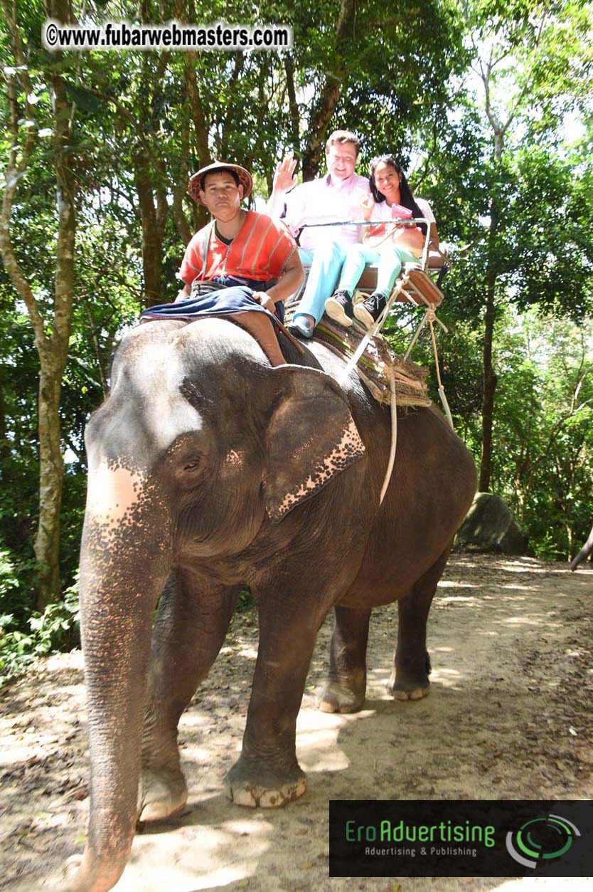 Elephant Safari 