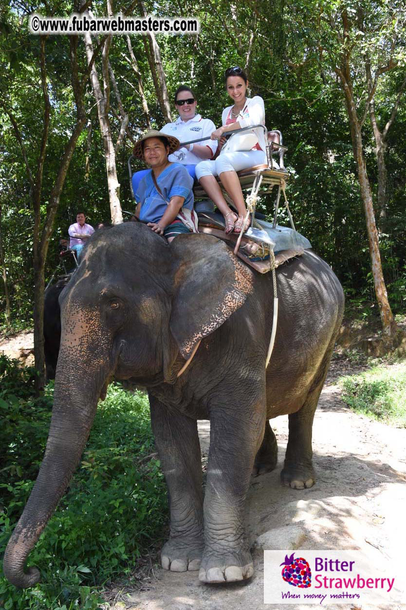 Elephant Safari 