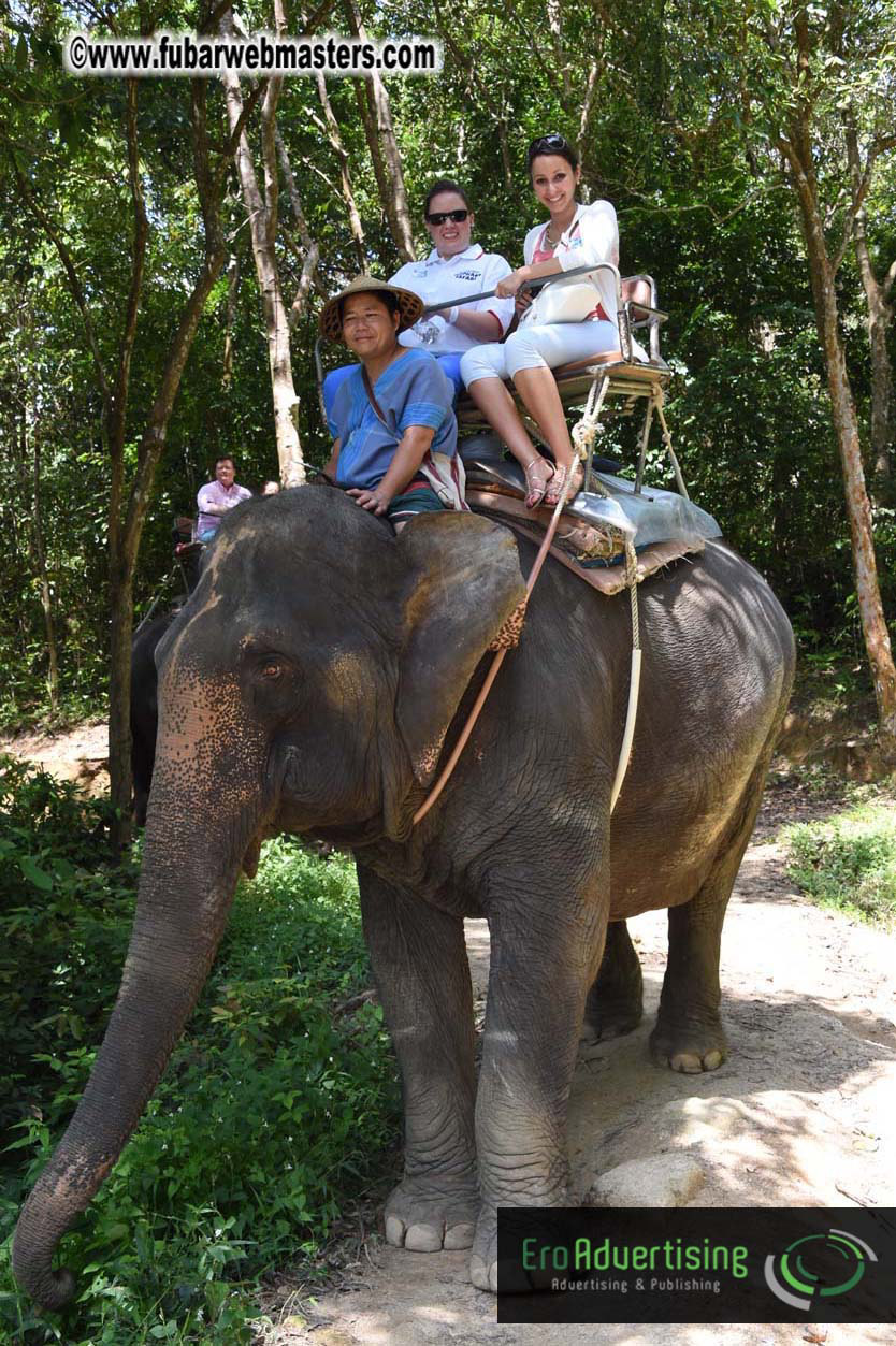 Elephant Safari 