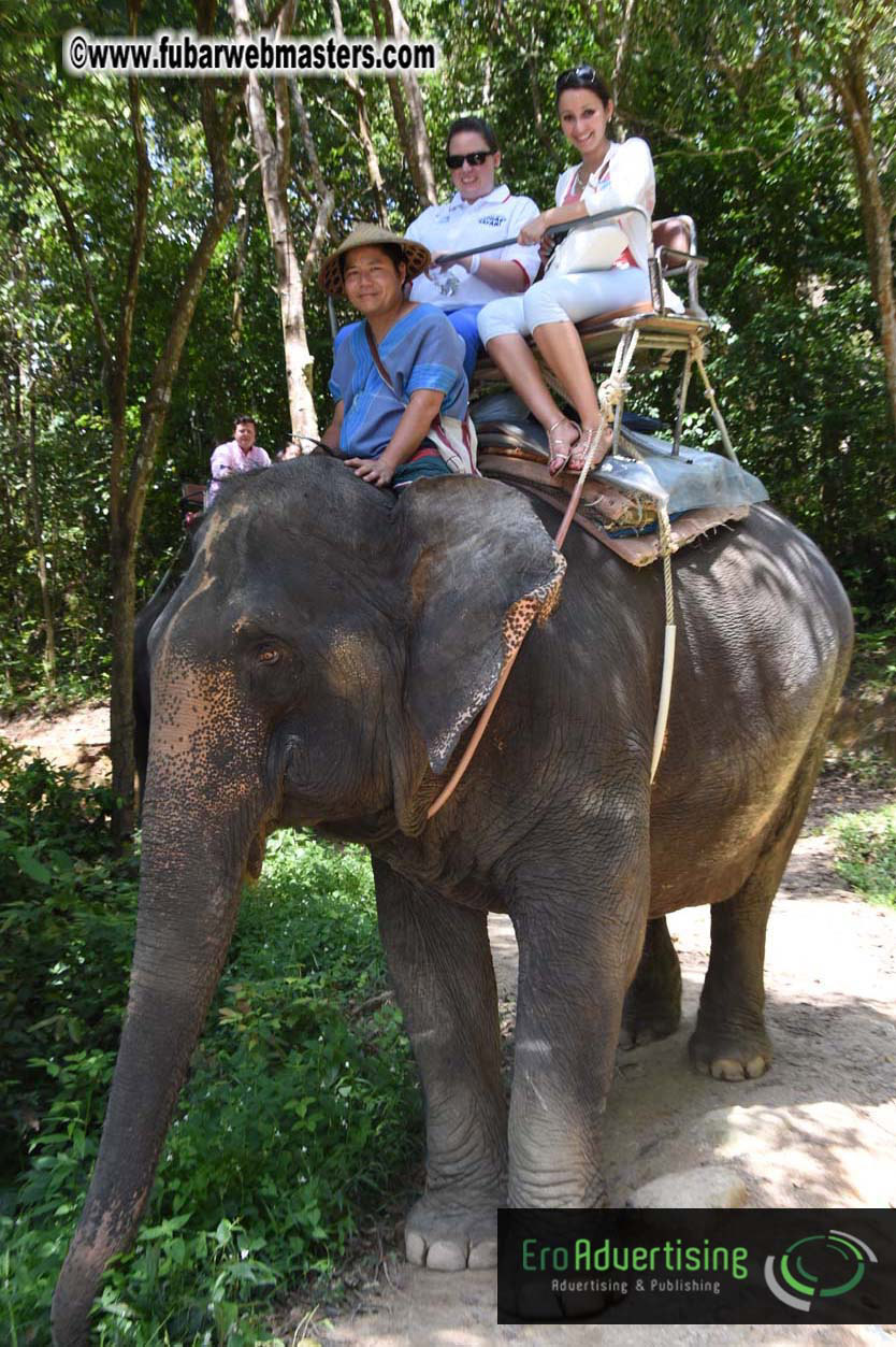 Elephant Safari 