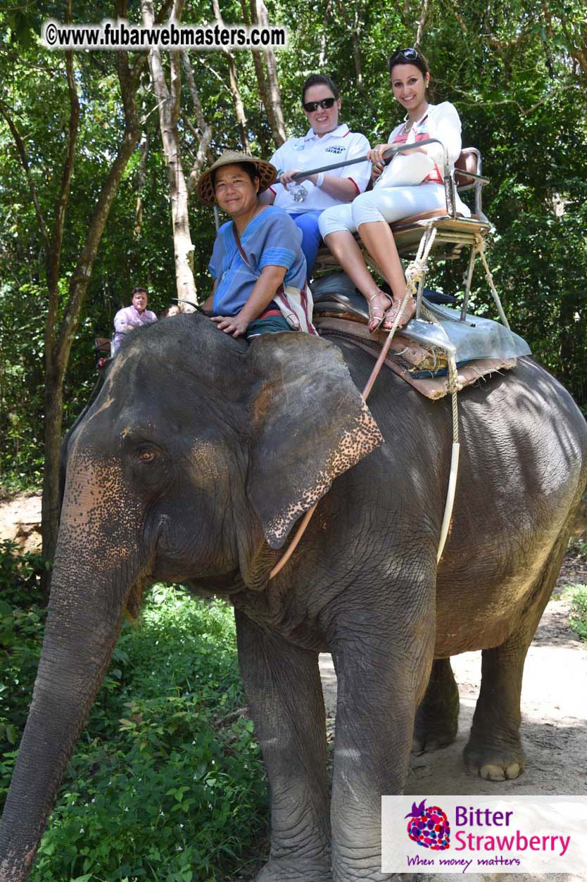 Elephant Safari 