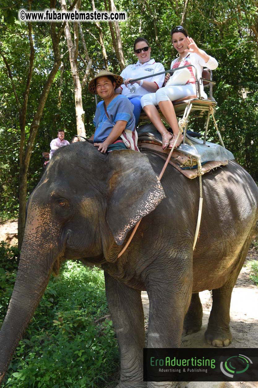 Elephant Safari 