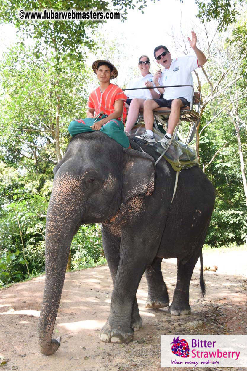 Elephant Safari 