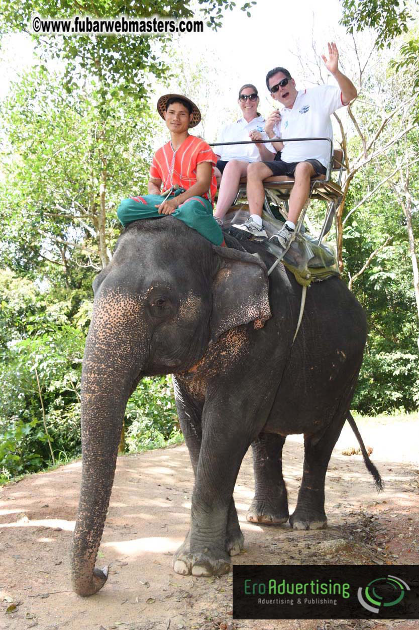 Elephant Safari 