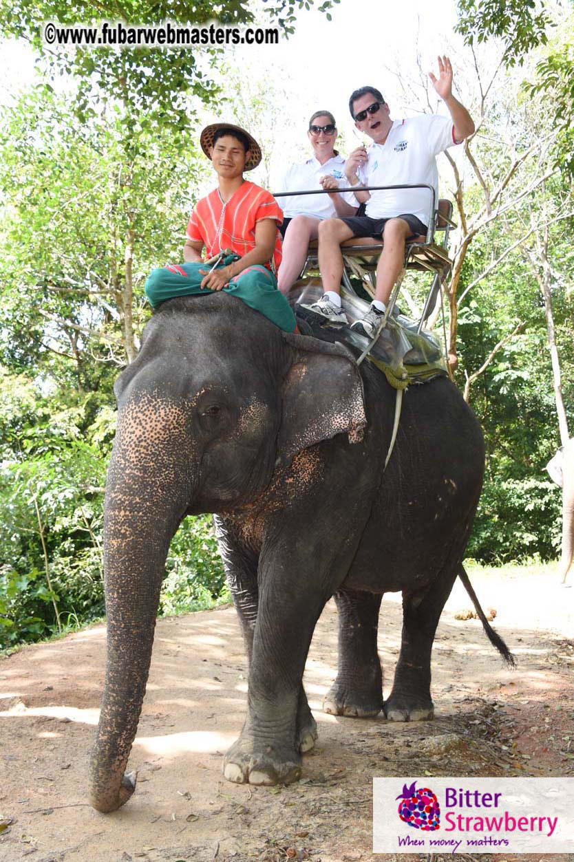 Elephant Safari 