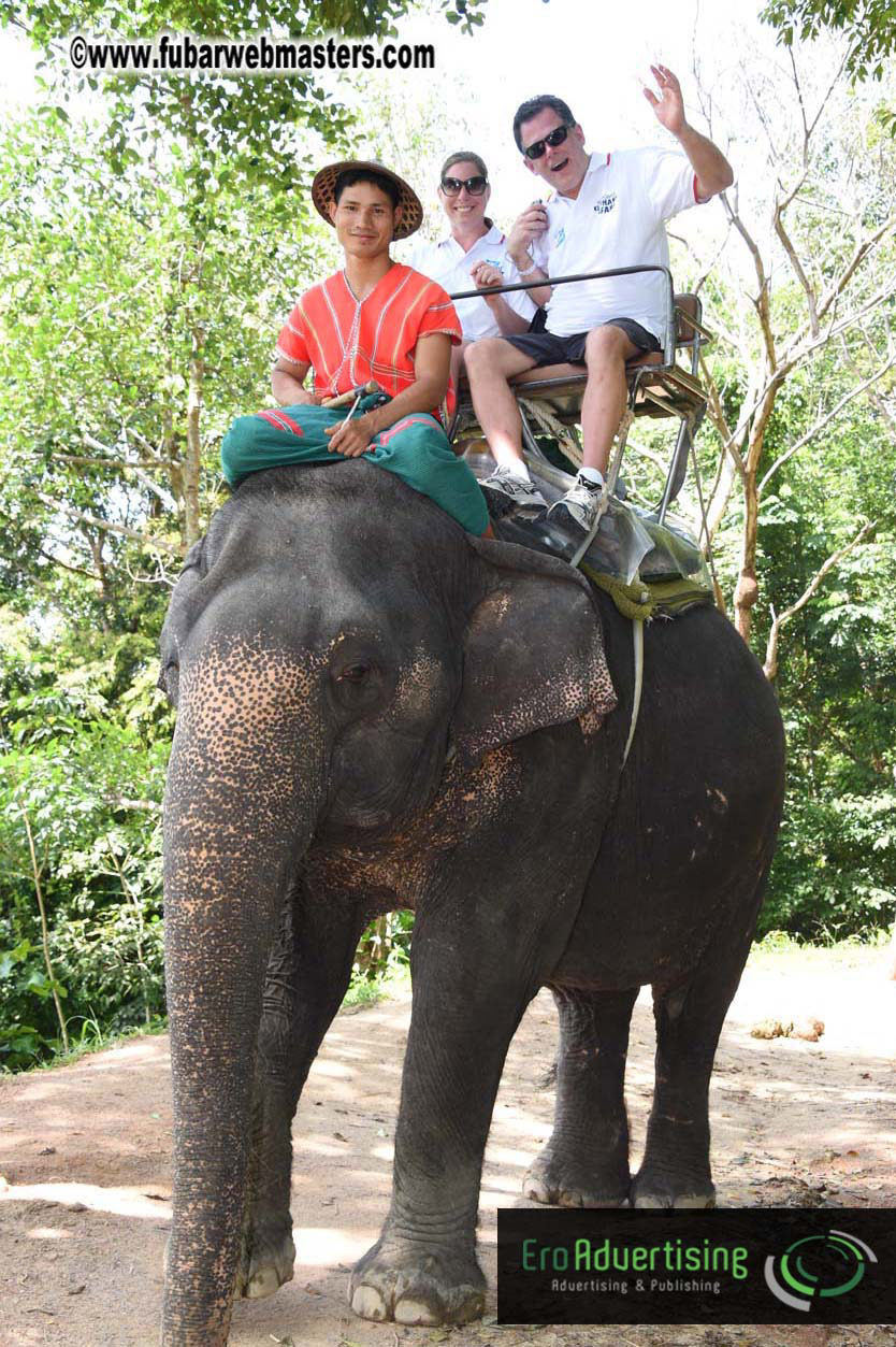 Elephant Safari 