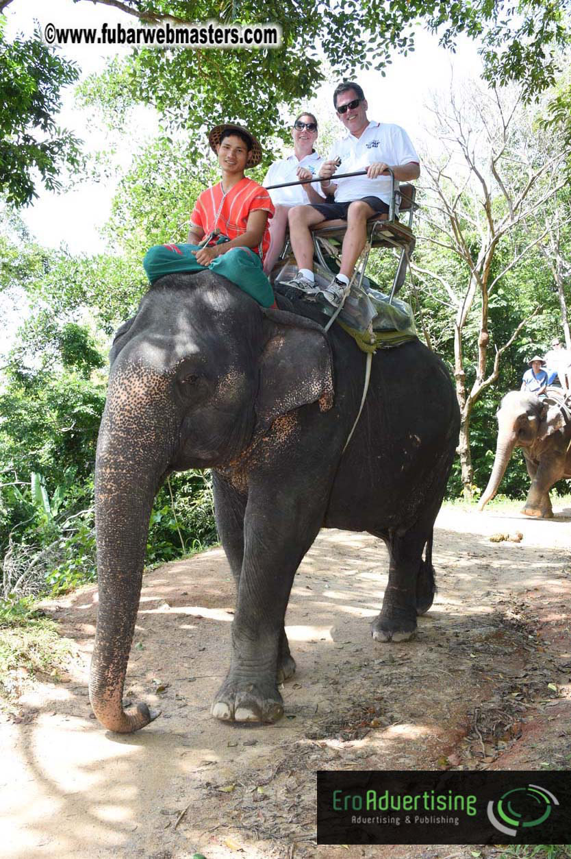 Elephant Safari 