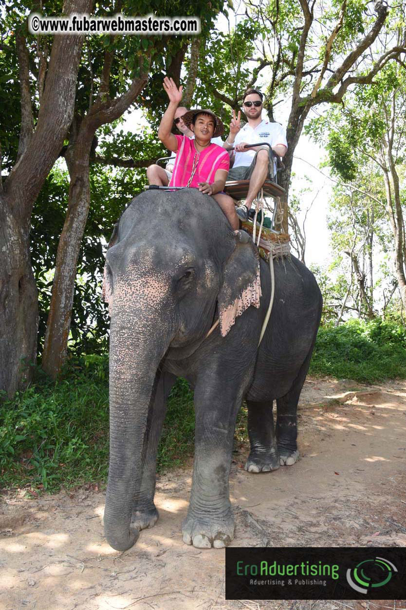 Elephant Safari 